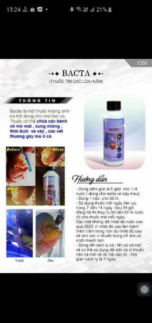 BACTA CZ8 TRỊ NẤM CHO TẤT CẢ LOẠI CÁ THÁI LAN 100ML