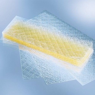 Gelatin (lá) hữu cơ