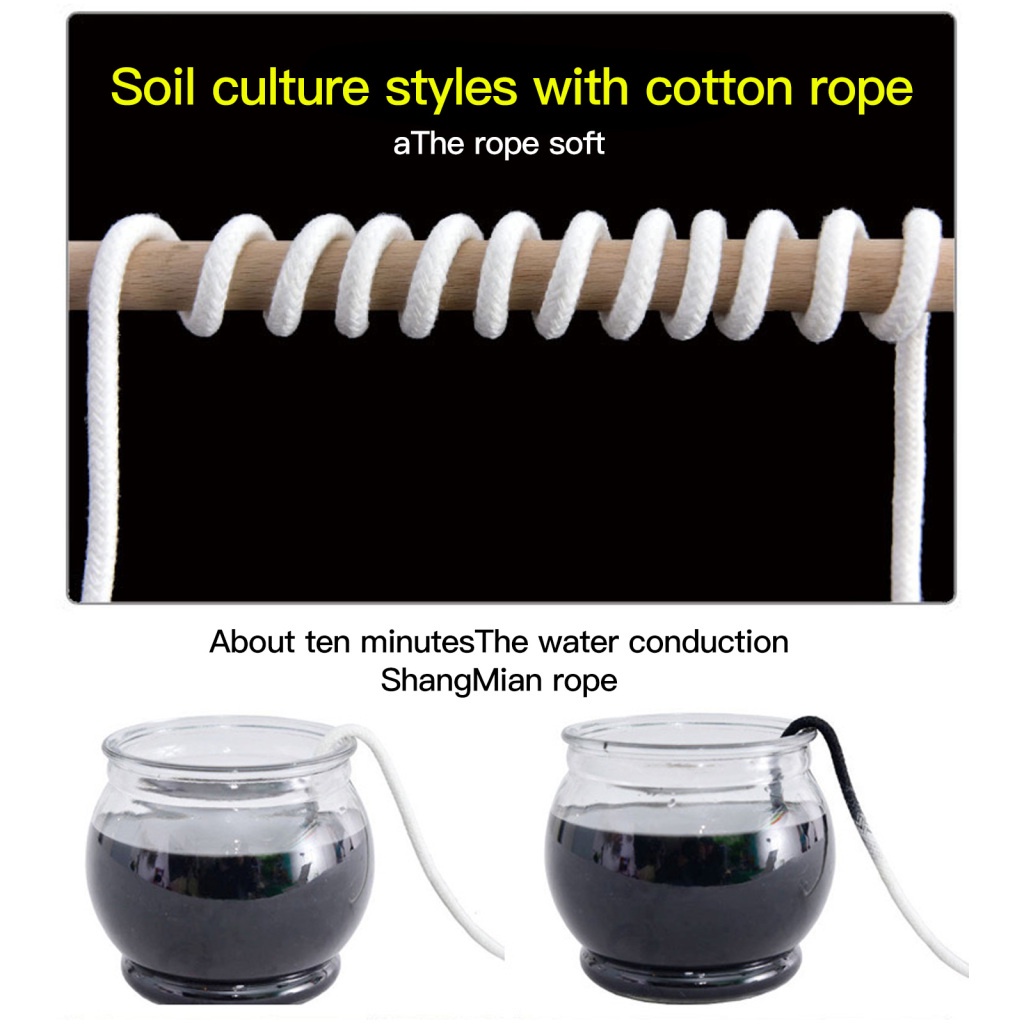 1 Bình Hoa Thủy Tinh Có Giá Đỡ Bằng Sắt Phong Cách Bắc Âu Trang Trí Nội Thất