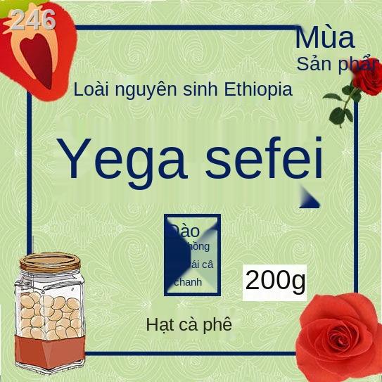 【HOT】Hạt cà phê nhập khẩu Yejiashefei Ethiopia, sản phẩm đơn lẻ mới rang được làm thủ công với hàm lượng thấp do không c