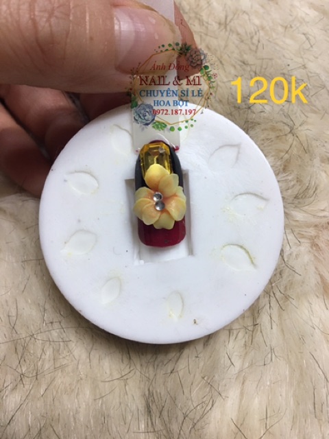 Trọn bộ khuôn hoa bột nail