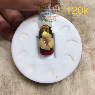 Trọn bộ khuôn hoa bột nail