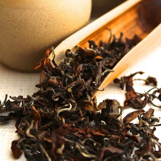 Trà xanh Sencha Lai Châu