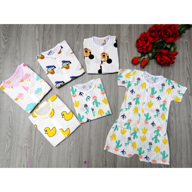 Combo 6b coton giấy,