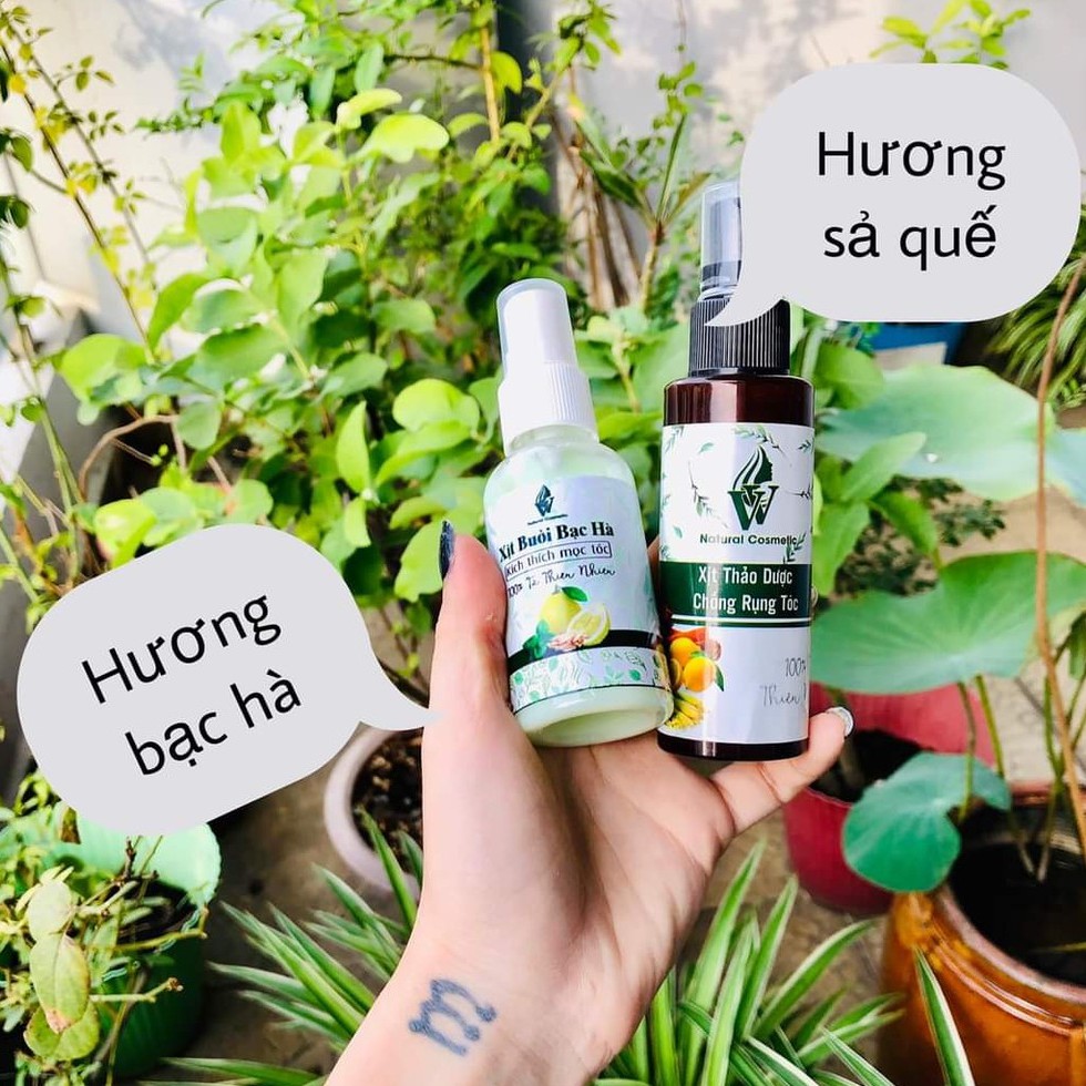Xịt bưởi bạc hà/ Xịt quế sả chanh kích thích mọc tóc, ngăn rụng, kiềm dầu, chống bết tóc | BigBuy360 - bigbuy360.vn