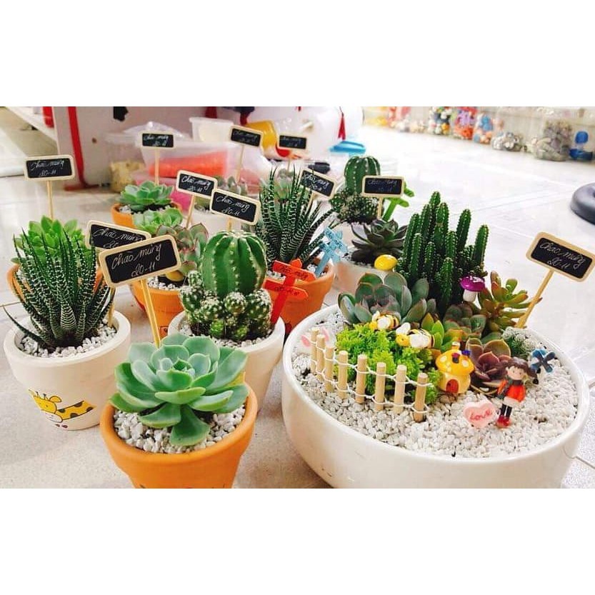 SỎI TRẮNG TRANG TRÍ 500 GR, có nhiều cỡ sỏi