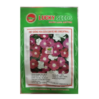 Hạt giống hoa dừa cạn rủ mix 50 hạt