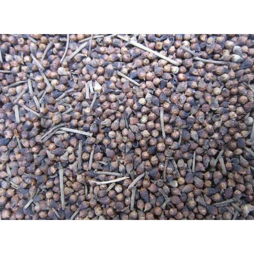 Combo 2kg Trà Nụ Vối Khô Sạch Tiết Kiệm Hơn