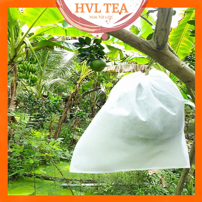 Túi bọc hoa quả ổi bưởi xoài na mướp, nhiều kích thước, 100 túi/sp - HVL TEA