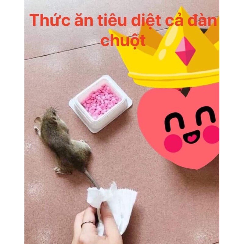 Thuốc Diệt Chuột ARS RAT KILLER Thái Lan 80g