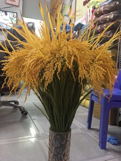 com bo 25 cây  bông lúa vàng ấm no cả nhà