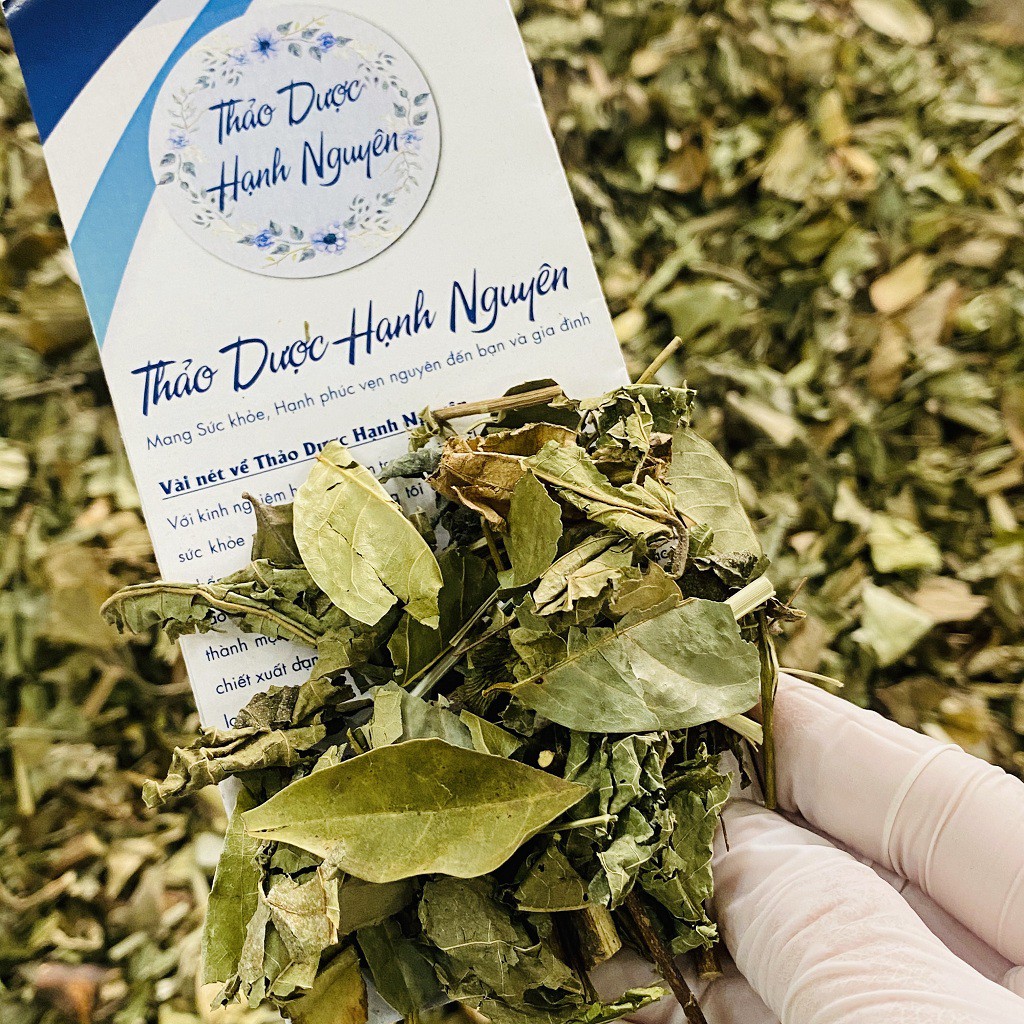 Sỉ 2kg Cây Lá Gan (Có hút chân không bảo quản)