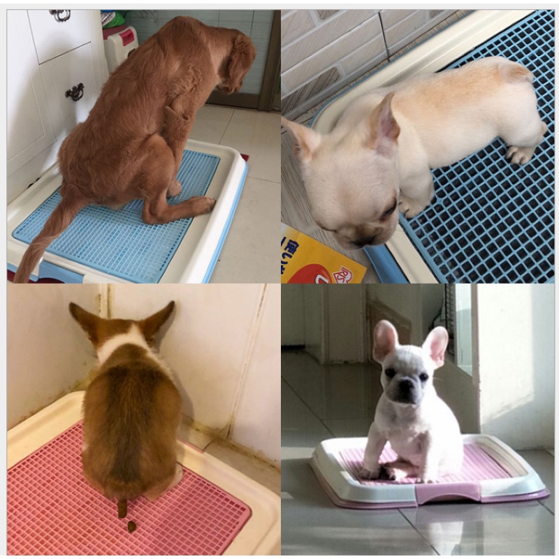 KHAY VỆ SINH CHO CHÓ SIZE NHỎ 47*35*3.5CM -  LOVE PETS SHOP