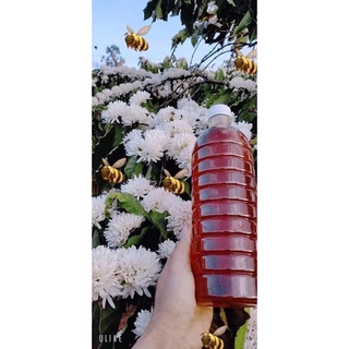 Mật ong cà phê nguyên chất Dak Lak (1 lít, chỉ giao tphcm)