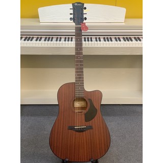Guitar rosen g15