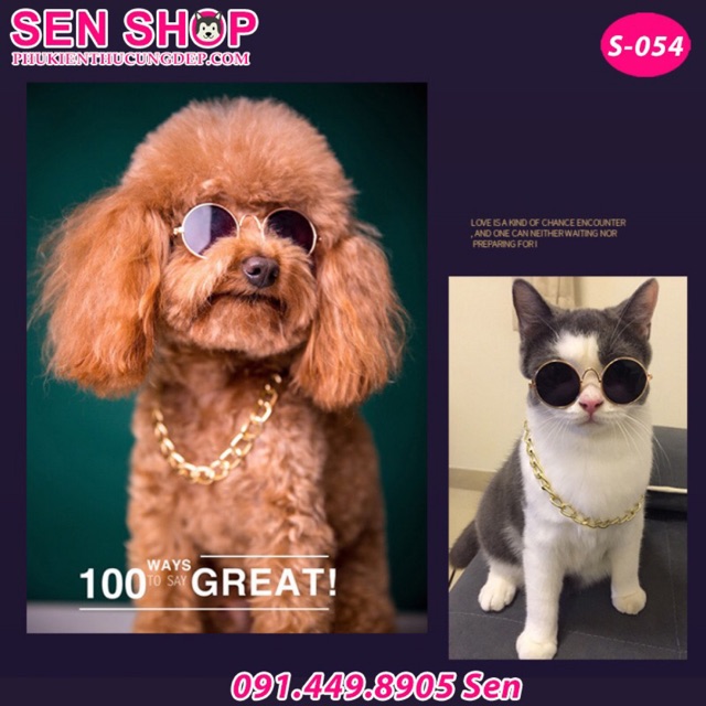 KÍNH MẮT CHO CHÓ MÈO