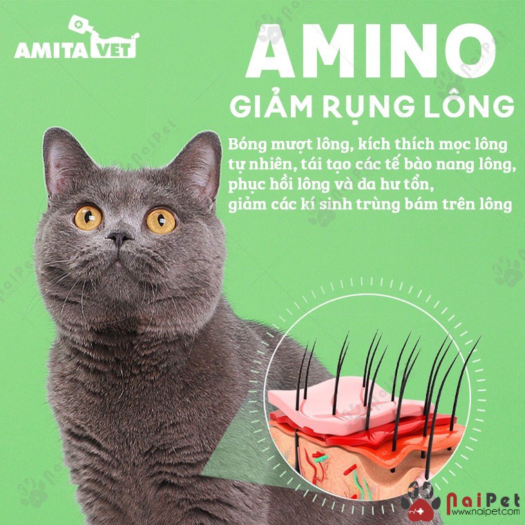 Bột Bổ Sung Vitamin Dưỡng Lông Cho Chó Mèo Amino Pet Plus Amitavet 35g