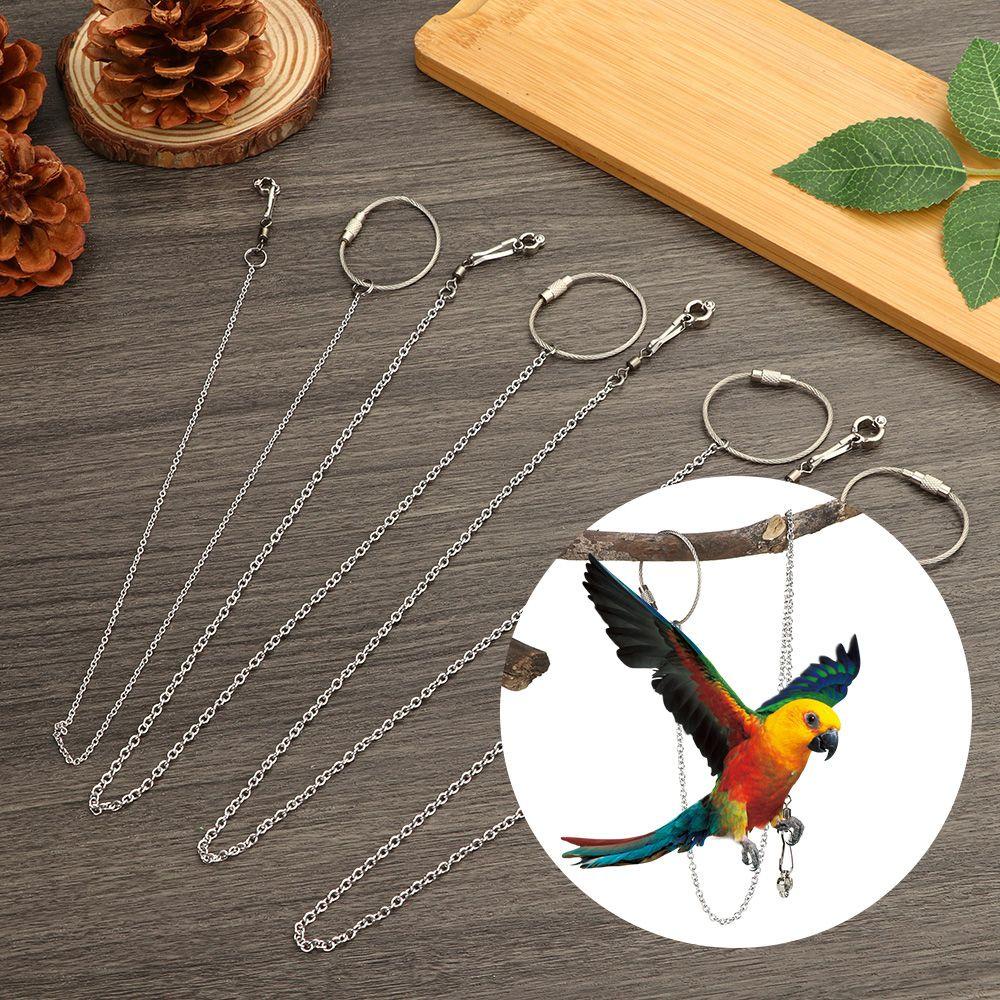 Vòng Lắc Chân Bằng Thép Không Gỉ An Toàn Cho Chim Cảnh