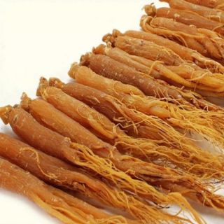 Sỉ toàn quốc nhân sâm 50g - 100g - 150g - 200g