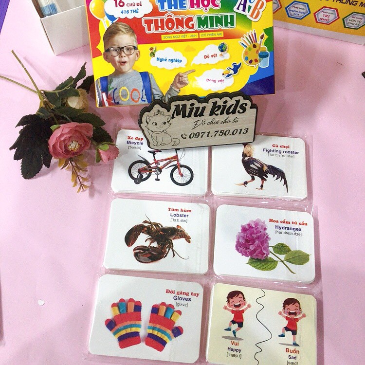 Thẻ học thông minh cho bé, flashcard 16 chủ đề 416 thẻ LOẠI CHUẨN Glen Doman