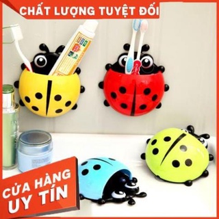 BỌ RÙA LEO TƯỜNG ĐỰNG ĐỒ ĐA NĂNG [Xưởng Sỉ Dương Biên]