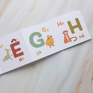 Bảng Chữ Cái Zic Zac