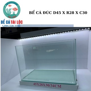 BỂ CÁ, HỒ CÁ KÍNH ĐÚC DÀI 45CM X 28CM X 30CM
