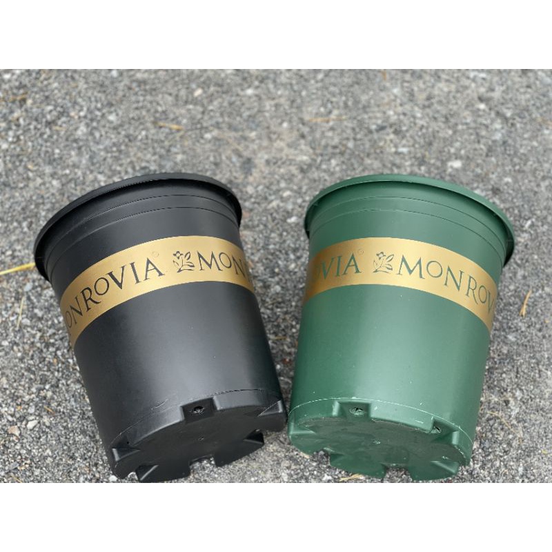 Chậu nhựa MON- GAL trồng hoa, cây cảnh  đủ size