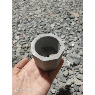 chậu xi măng mini trồng sen đá vỉ
