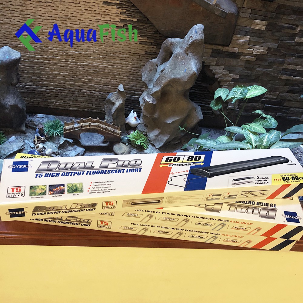 Đèn máng dành cho bể cá Odyssea T5HO 2 hàng bóng trắng từ 60cm đến 150cm