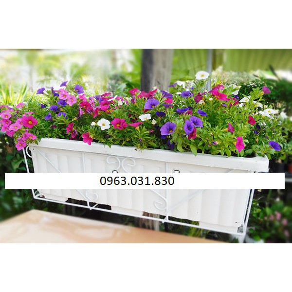 Chậu chữ nhật ban công (gân sóng), móc treo ban công kt 48x21cm