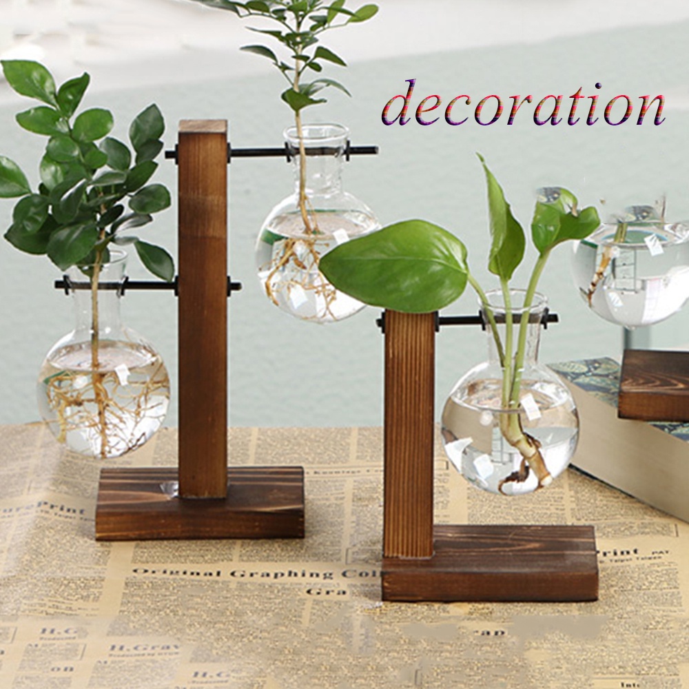 Chậu kính trồng cây thủy canh kèm khung gỗ phong cách cổ điển độc đáo trang trí nhà cửa