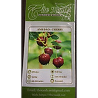 SMN Hạt giống cây anh Đào