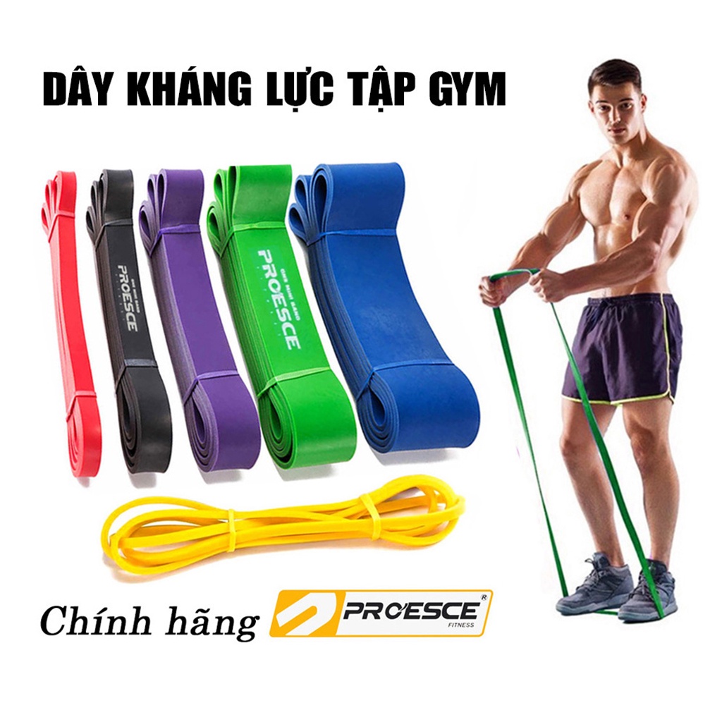 DÂY KHÁNG LỰC POWERBAND PROESCE - HỖ TRỢ TẬP GYM TOÀN THÂN
