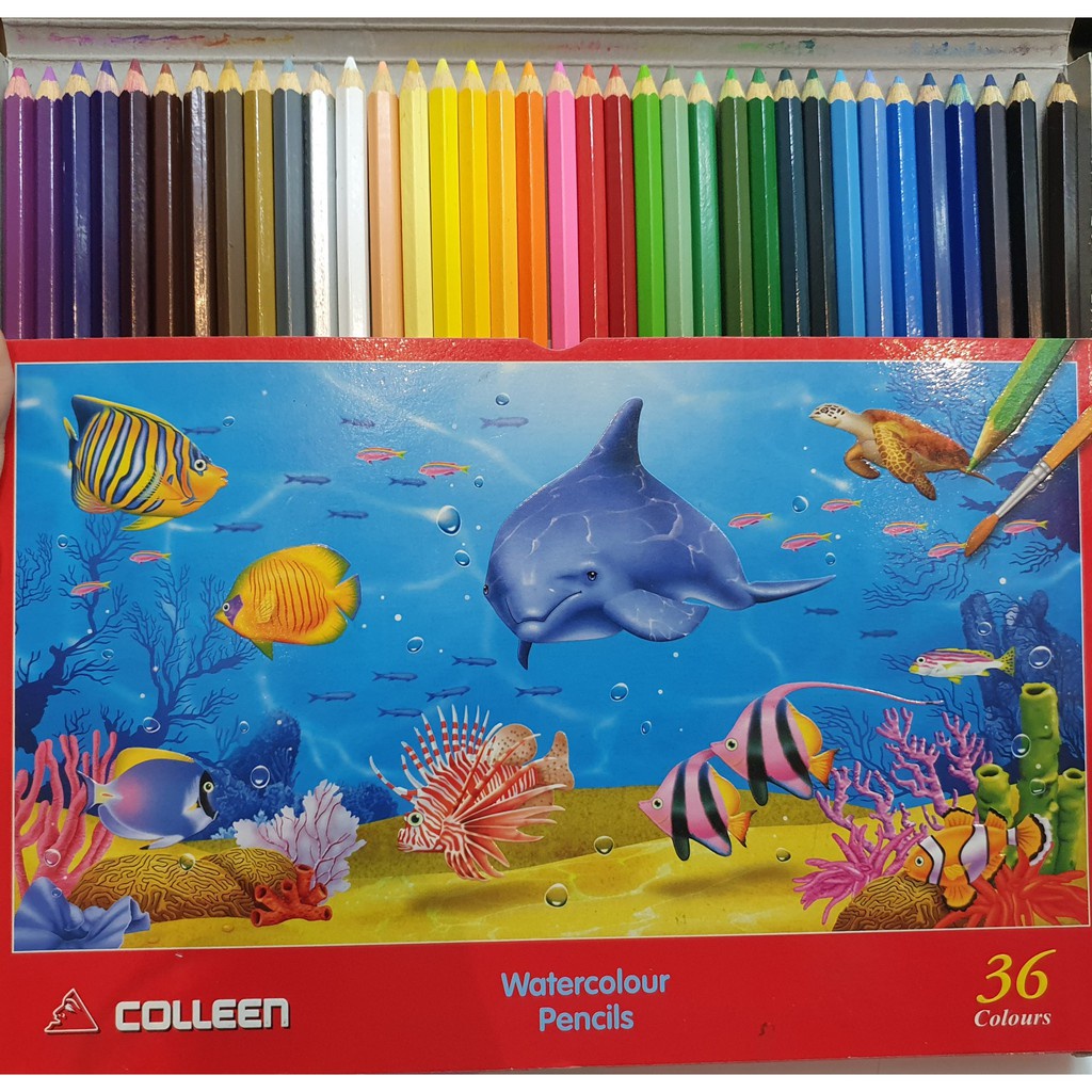 Bút chì màu nước Colleen 24 màu, 36 màu