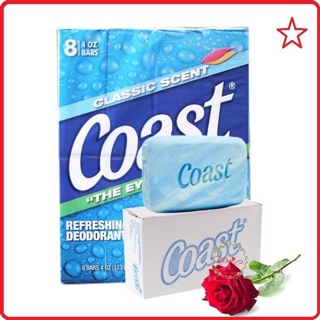 XÀ BÔNG CỤC COAST HÀNG MỸ 113g