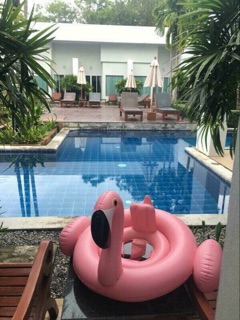 Phao hồng hạc cho bé