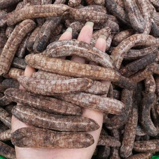 Chuối Hột Rừng phơi khô (Loại 1) 1kg