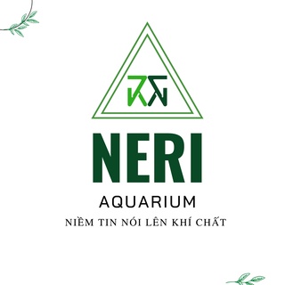 NERI Aqua