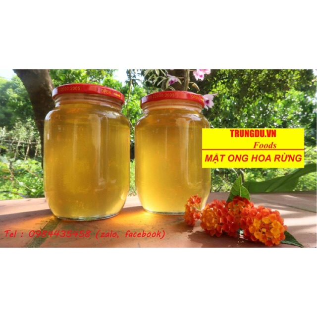 Mật ong hoa rừng ( tràm, bạch đàn ...) chai  1000ml
