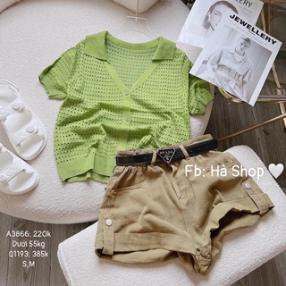 Áo lưới cổ V 4 màu cho nữ