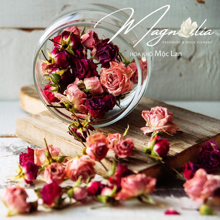 Hoa hồng khô ❤️FREESHIP❤️ Hoa khô Rosie Dried Flowers trang trí phòng ngủ, showroom, tiệc cưới Rustic cổ điển