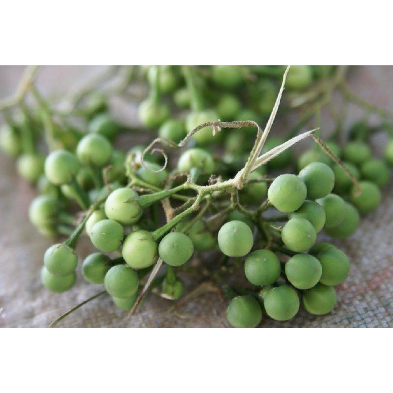 Cà dại hoa trắng 120k/3kg