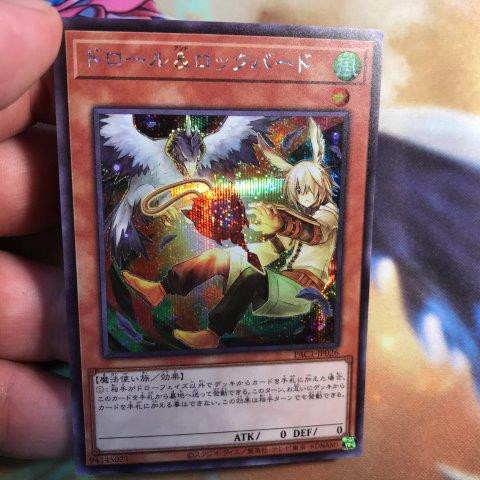 Droll & Lock Bird  - PAC1-JP026