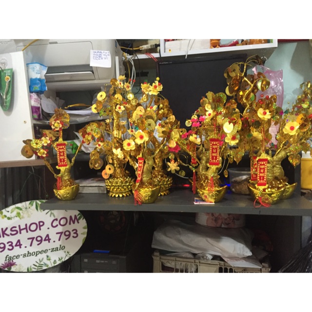 Combo nguyên liệu cây tài lộc phk shop