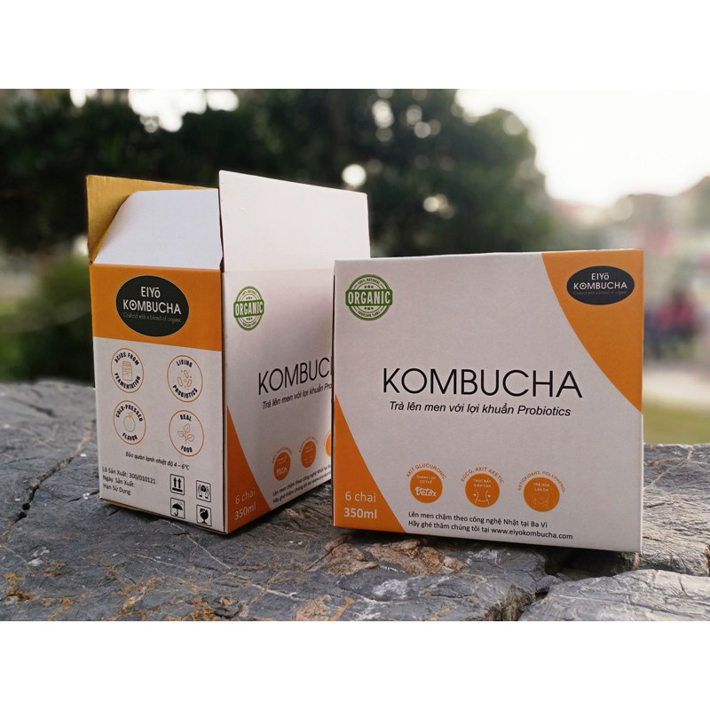 TRÀ KOMBUCHA - THANH LỌC &amp; THẢI ĐỘC VỊ GỪNG + NGHỆ THÙNG 6 CHAI.