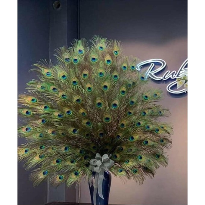 Combo 10 Lông công trang trí phong thủy tài lộc 28-35cm | BigBuy360 - bigbuy360.vn