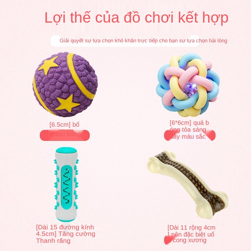 Đồ chơi cho chó Gậy cắn răng hàm Bichon Corgi con bông nhỏ cung cấp tạo tác chống nhàm chán