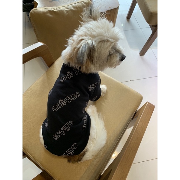 Áo nỉ Adidas cho chó mèo