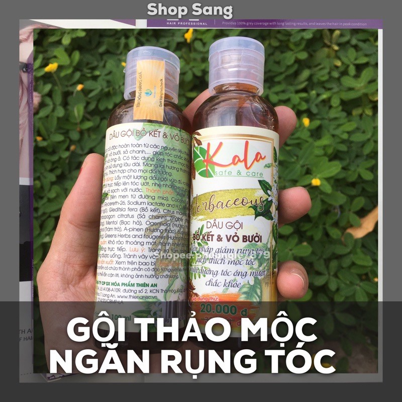 Gội Thảo Dược Bồ Kết &amp; Vỏ Bưởi Ngăn Rụng Tóc 100ml